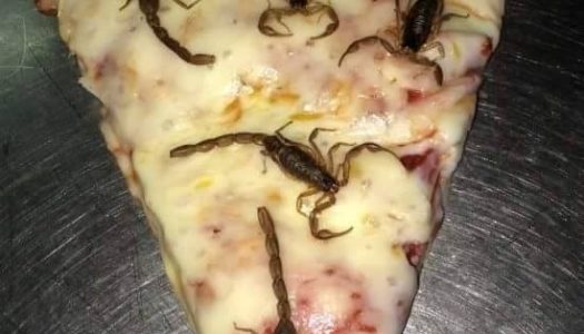 Scorpion Pizza