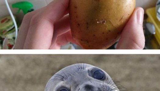 Cute Potato