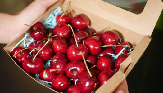 Take a Bite Out of Chilean Cherries Now in Thailand | Bangkok Foodies
