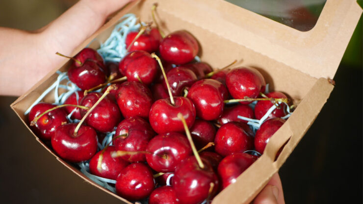 Chilean Cherries Thailand