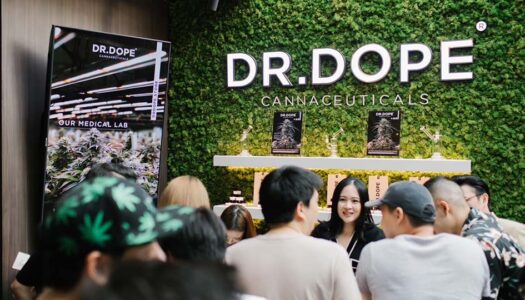 Cannex Asia 4/20 Community Event an Exploration into Cannabis Industries with Munchie Delights